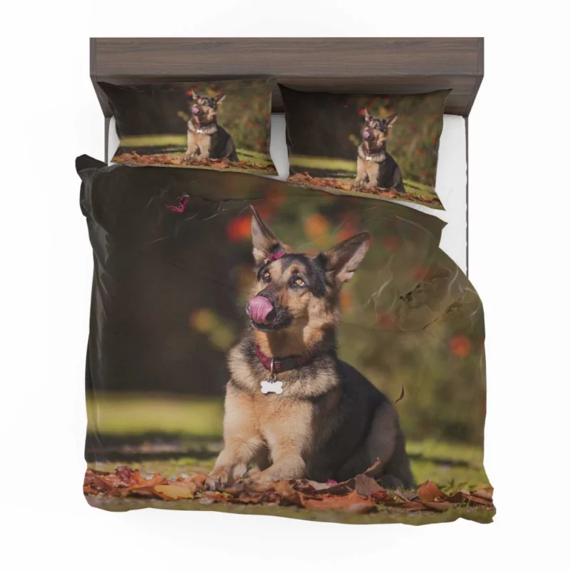 German Shepherd Excellence Bedding Set 1