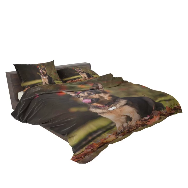 German Shepherd Excellence Bedding Set 2