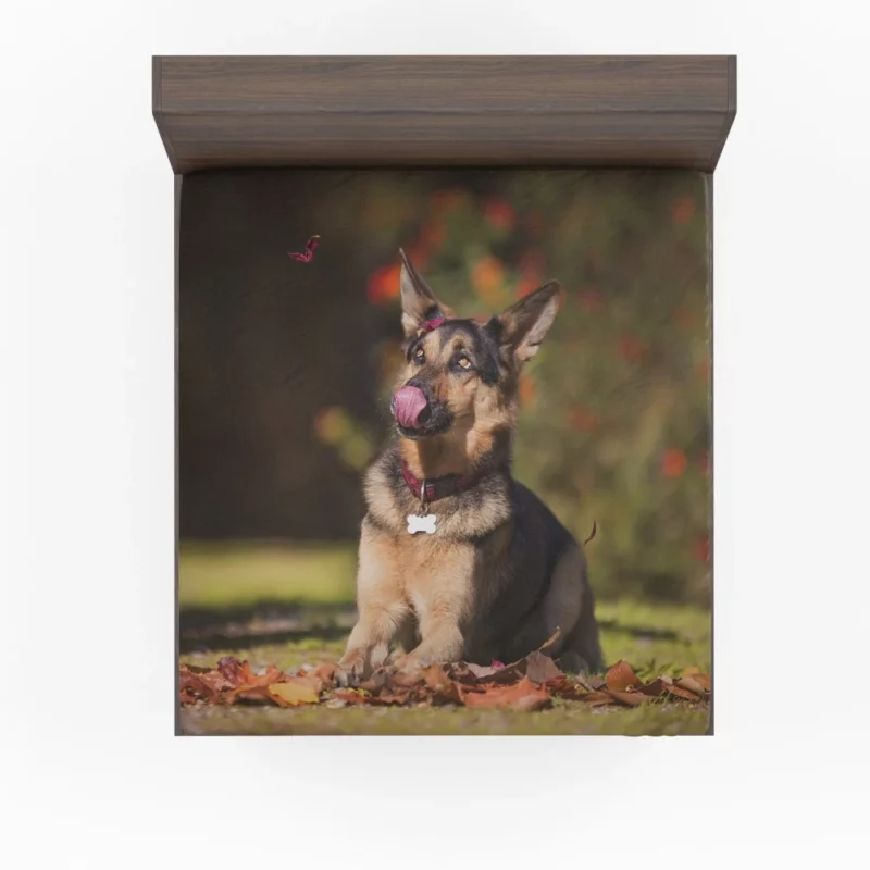 German Shepherd Excellence Fitted Sheet 1