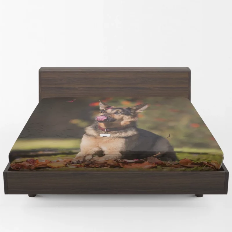 German Shepherd Excellence Fitted Sheet