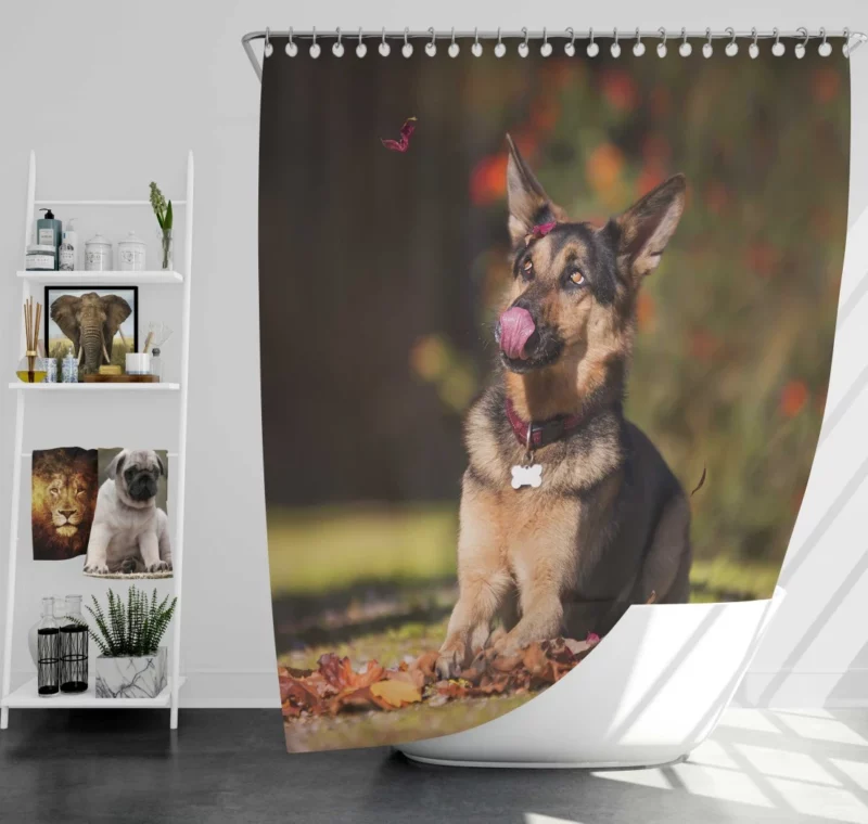 German Shepherd Excellence Shower Curtain