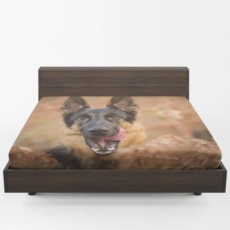 German Shepherd Fall Charm Furry Elegance Fitted Sheet