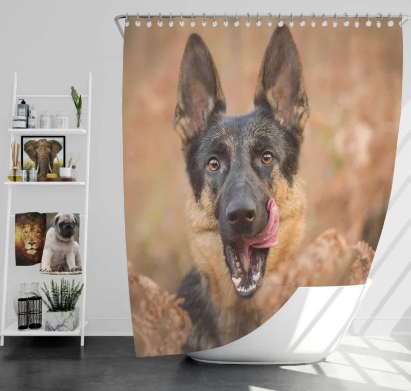 German Shepherd Fall Charm Furry Elegance Shower Curtain