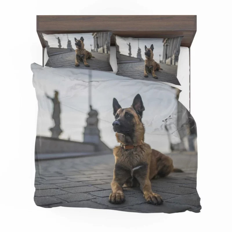 German Shepherd Field Focus Canine Majesty Bedding Set 1