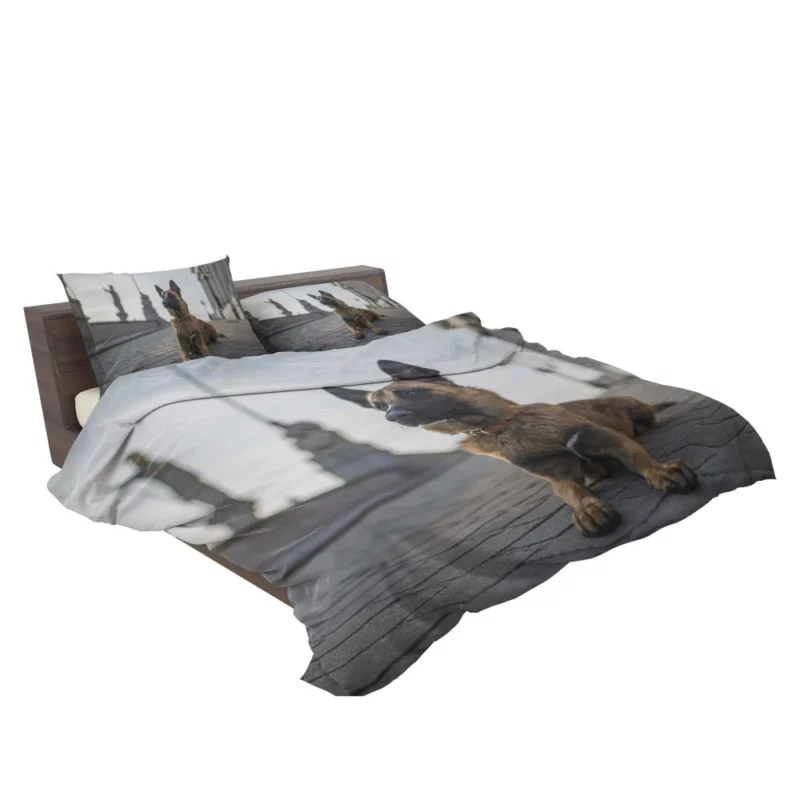 German Shepherd Field Focus Canine Majesty Bedding Set 2