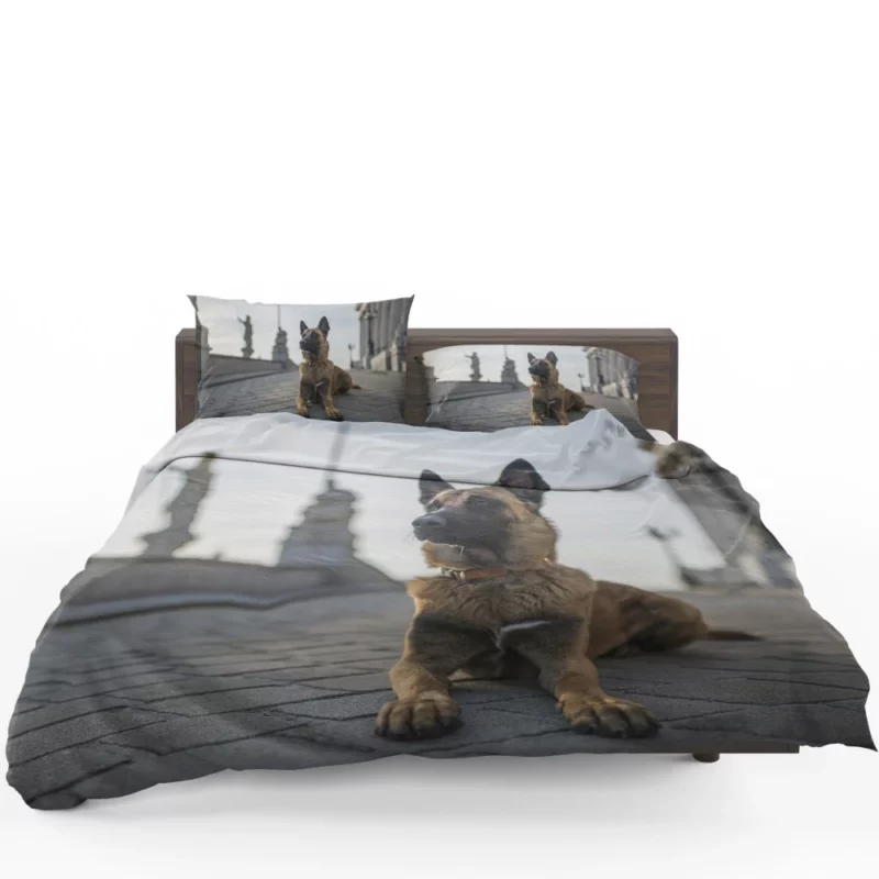 German Shepherd Field Focus Canine Majesty Bedding Set