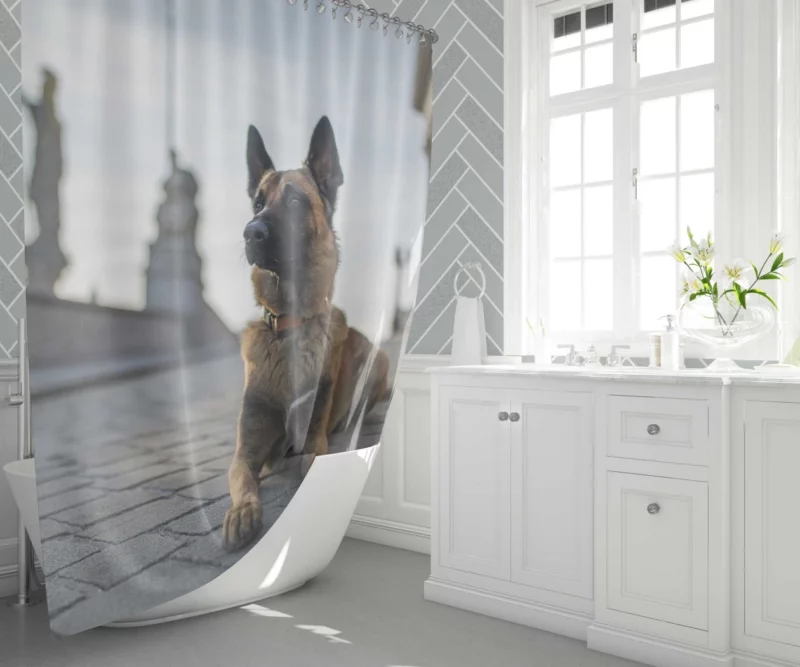 German Shepherd Field Focus Canine Majesty Shower Curtain 1