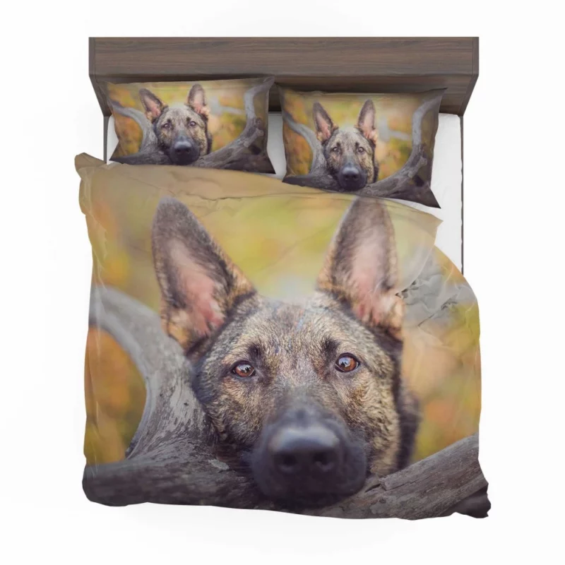 German Shepherd Fierce Stare Bedding Set 1