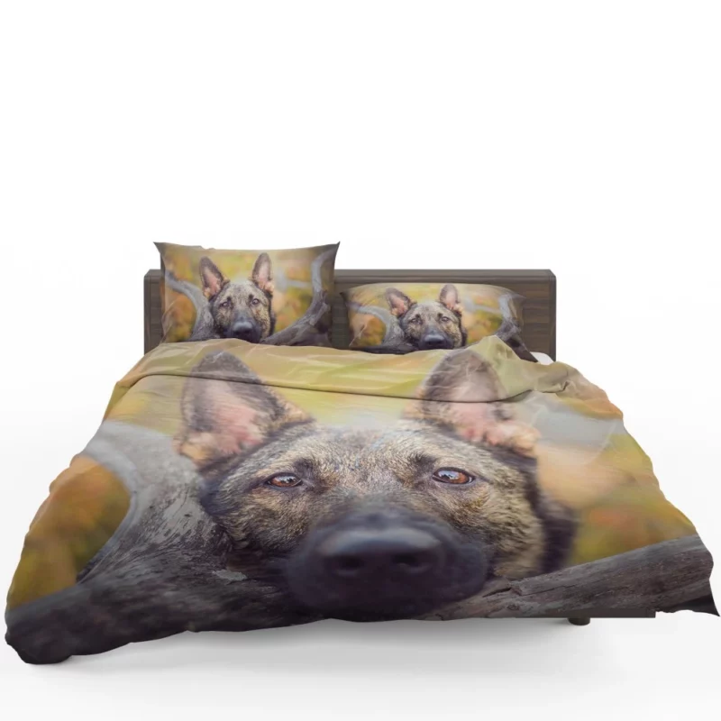 German Shepherd Fierce Stare Bedding Set