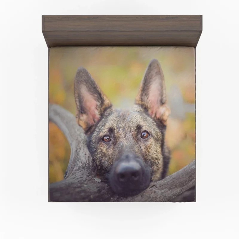 German Shepherd Fierce Stare Fitted Sheet 1