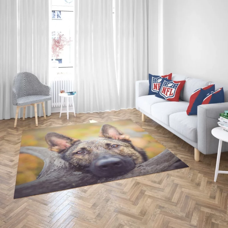 German Shepherd Fierce Stare Rug 2