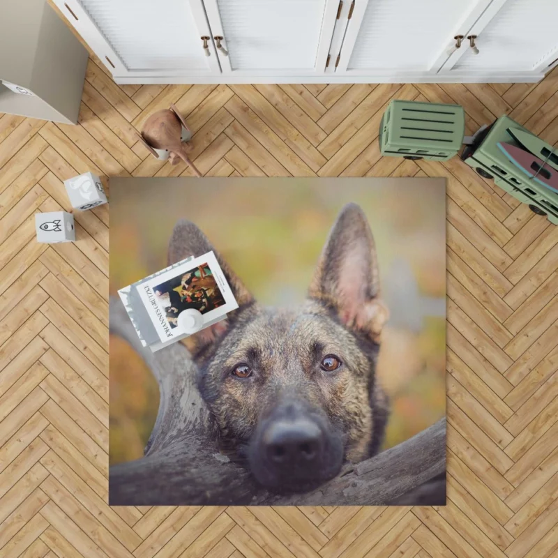 German Shepherd Fierce Stare Rug