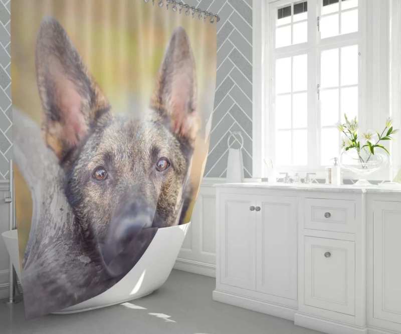 German Shepherd Fierce Stare Shower Curtain 1