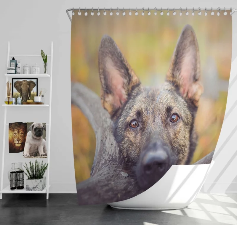 German Shepherd Fierce Stare Shower Curtain