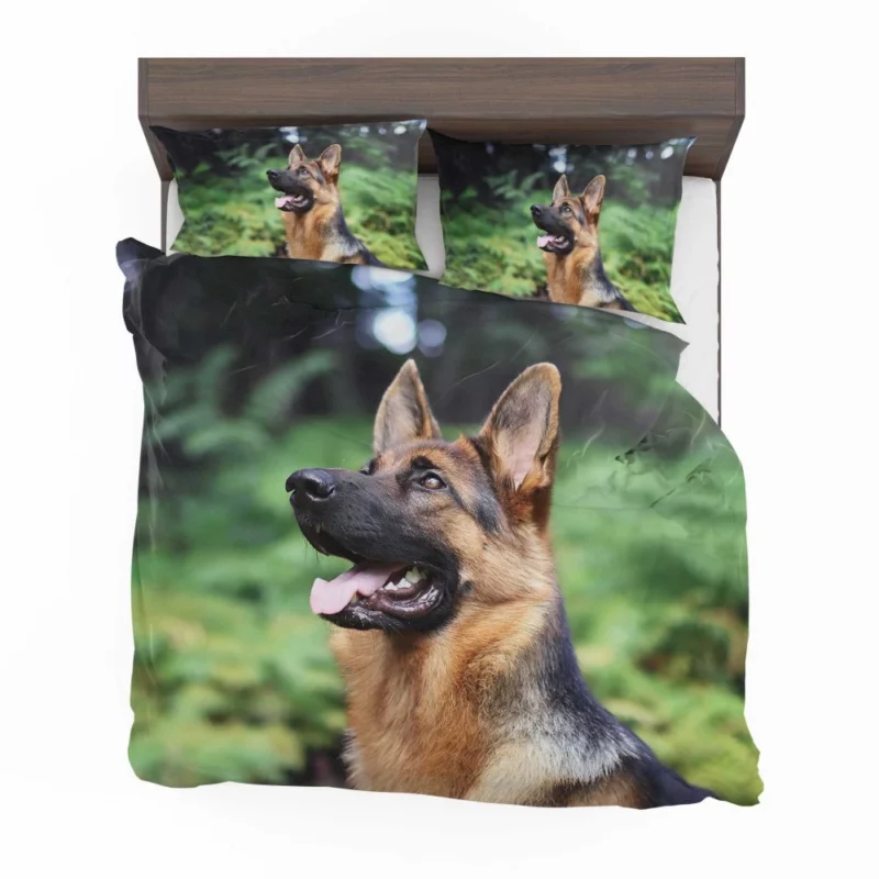 German Shepherd Furry Grace Active Energy Bedding Set 1