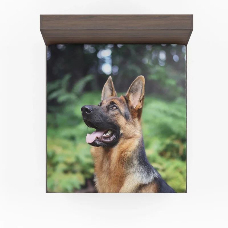 German Shepherd Furry Grace Active Energy Fitted Sheet 1