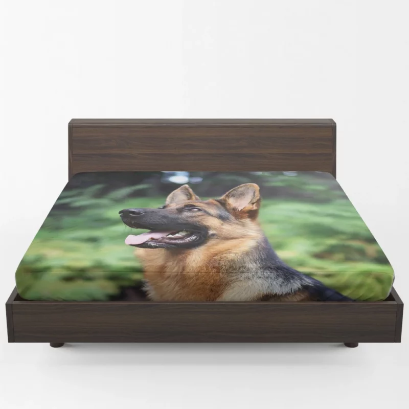 German Shepherd Furry Grace Active Energy Fitted Sheet