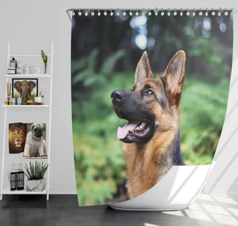 German Shepherd Furry Grace Active Energy Shower Curtain