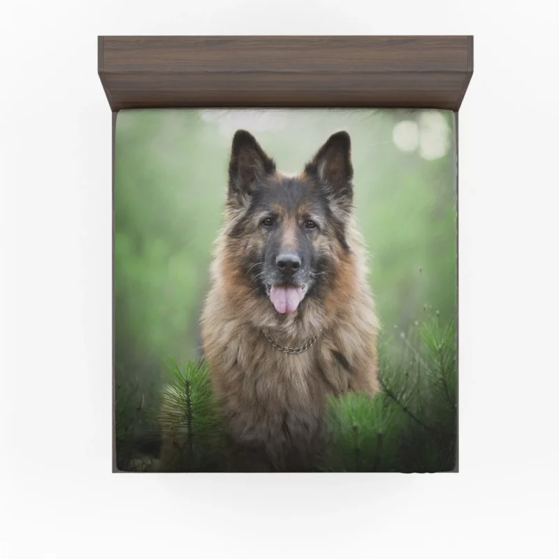 German Shepherd Intense Stare Canine Majesty Fitted Sheet 1