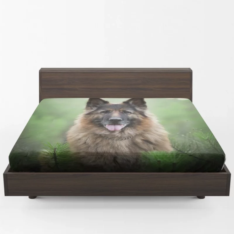 German Shepherd Intense Stare Canine Majesty Fitted Sheet