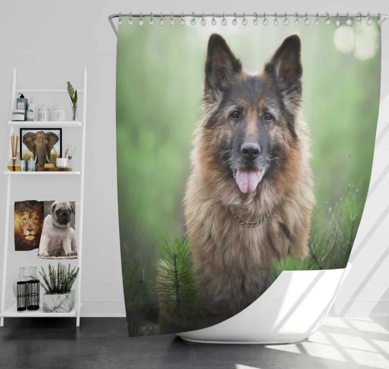 German Shepherd Intense Stare Canine Majesty Shower Curtain