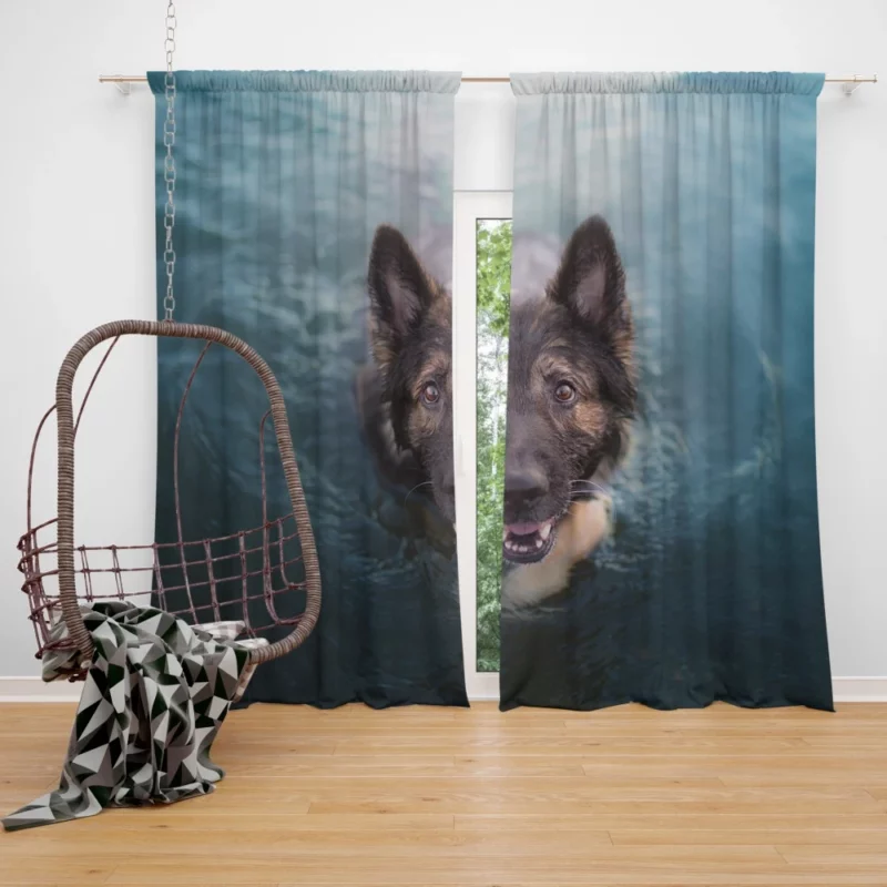 German Shepherd Intense Stare Curtain