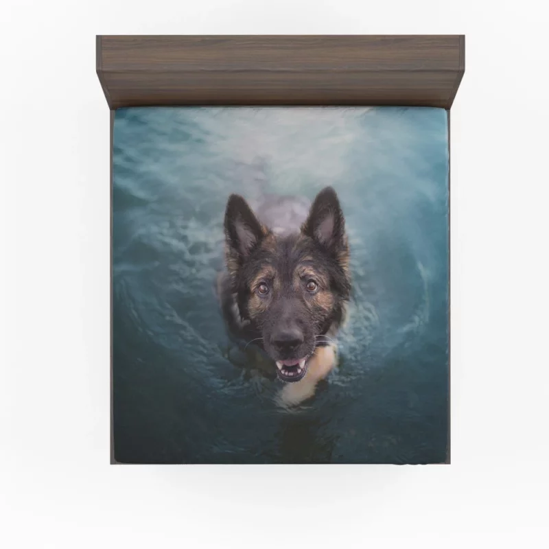 German Shepherd Intense Stare Fitted Sheet 1