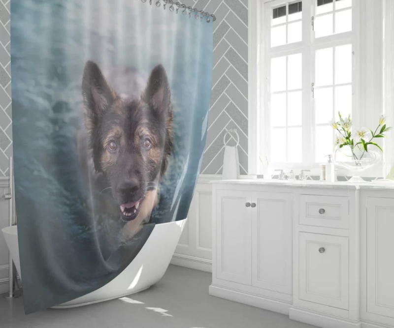 German Shepherd Intense Stare Shower Curtain 1