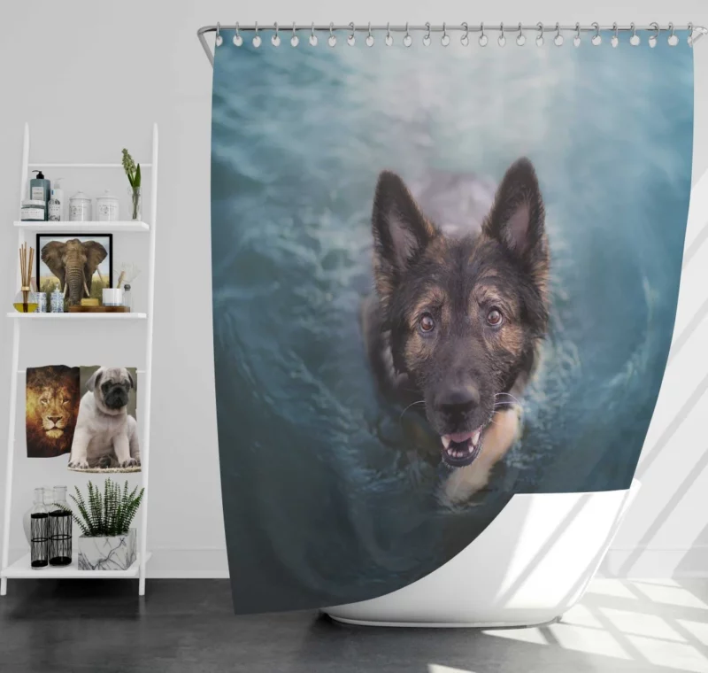 German Shepherd Intense Stare Shower Curtain