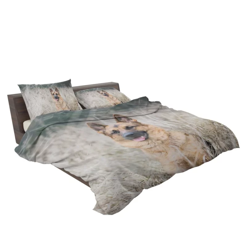 German Shepherd Majestic Bedding Set 2