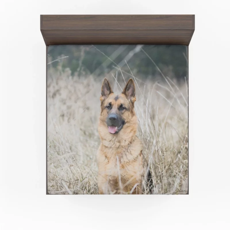 German Shepherd Majestic Fitted Sheet 1