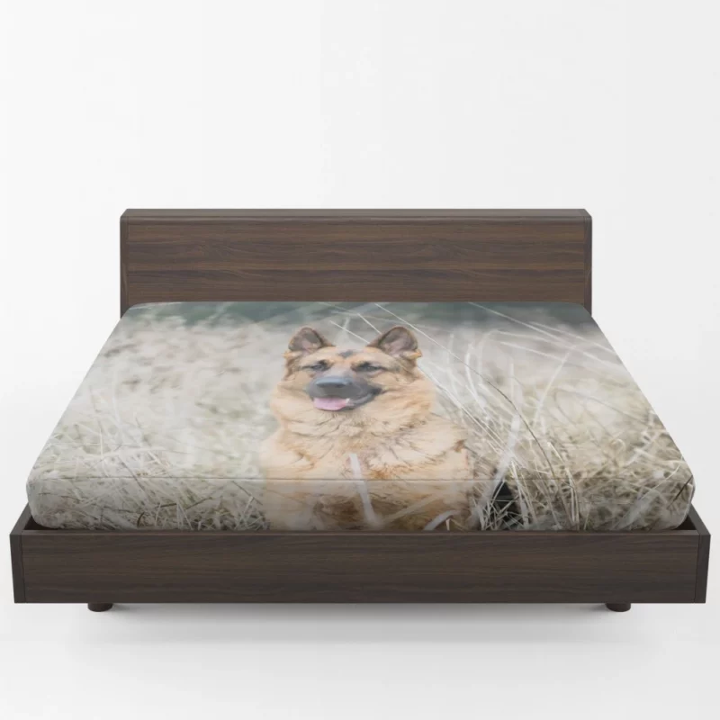 German Shepherd Majestic Fitted Sheet