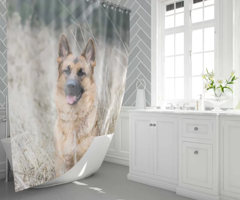 German Shepherd Majestic Shower Curtain 1