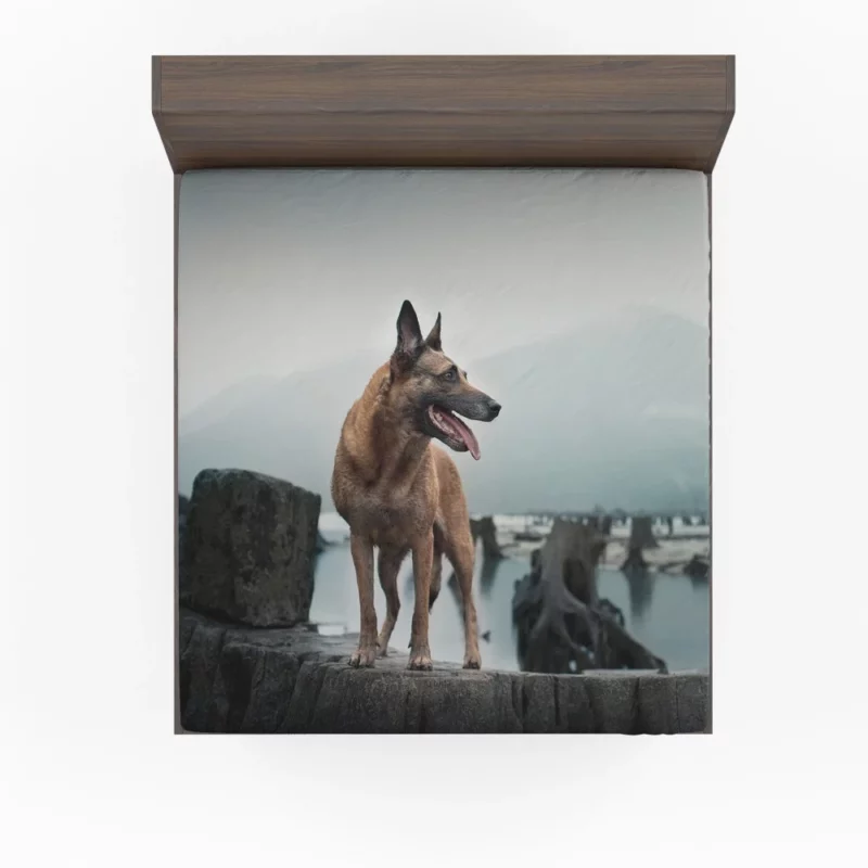 German Shepherd Majestic Stance Fitted Sheet 1