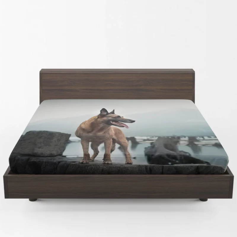 German Shepherd Majestic Stance Fitted Sheet