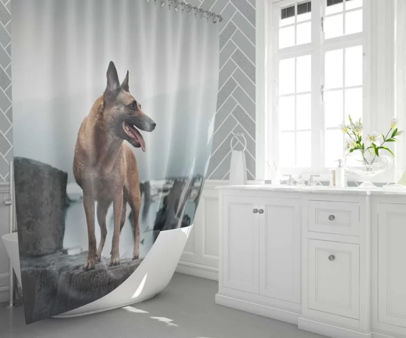 German Shepherd Majestic Stance Shower Curtain 1