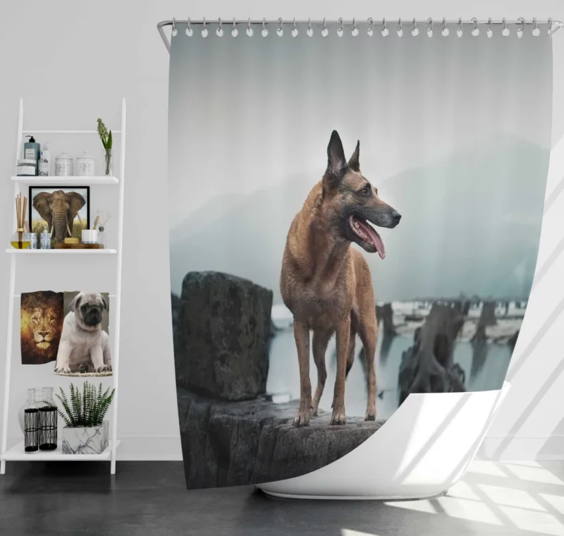 German Shepherd Majestic Stance Shower Curtain