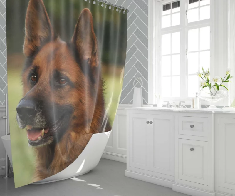 German Shepherd Muzzle in Thought Canine Contemplation Shower Curtain 1