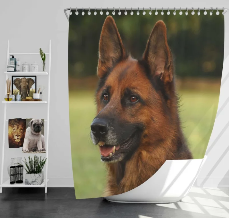 German Shepherd Muzzle in Thought Canine Contemplation Shower Curtain