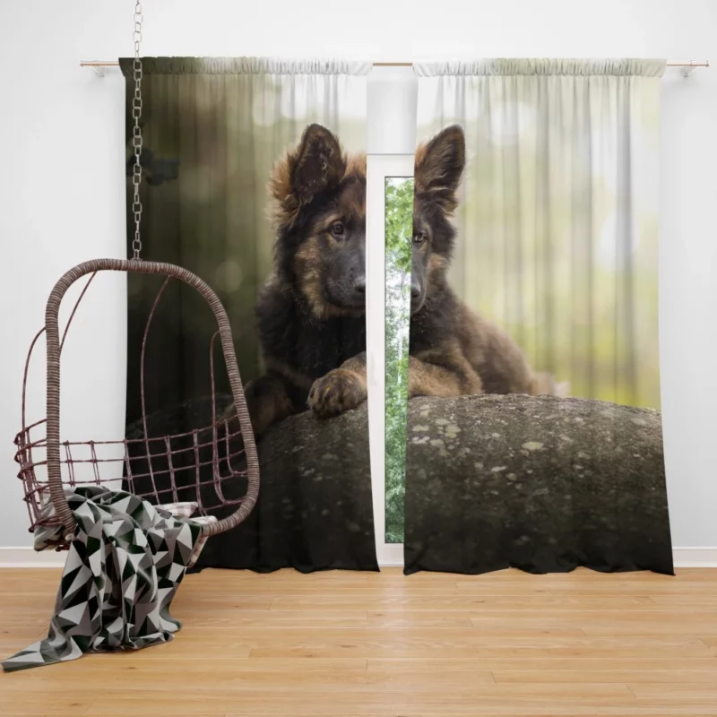 German Shepherd Playful Charm Puppy Delight Curtain