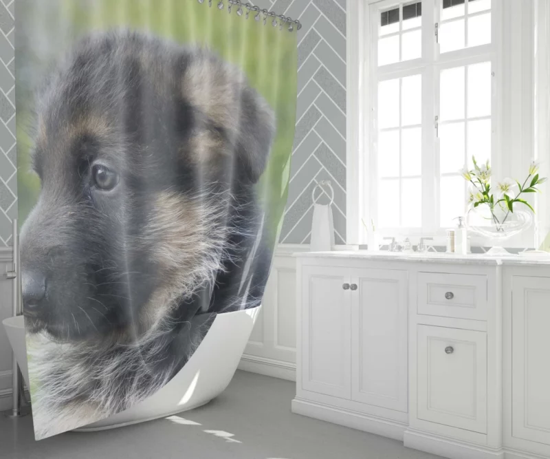 German Shepherd Pup Playful Antics Shower Curtain 1