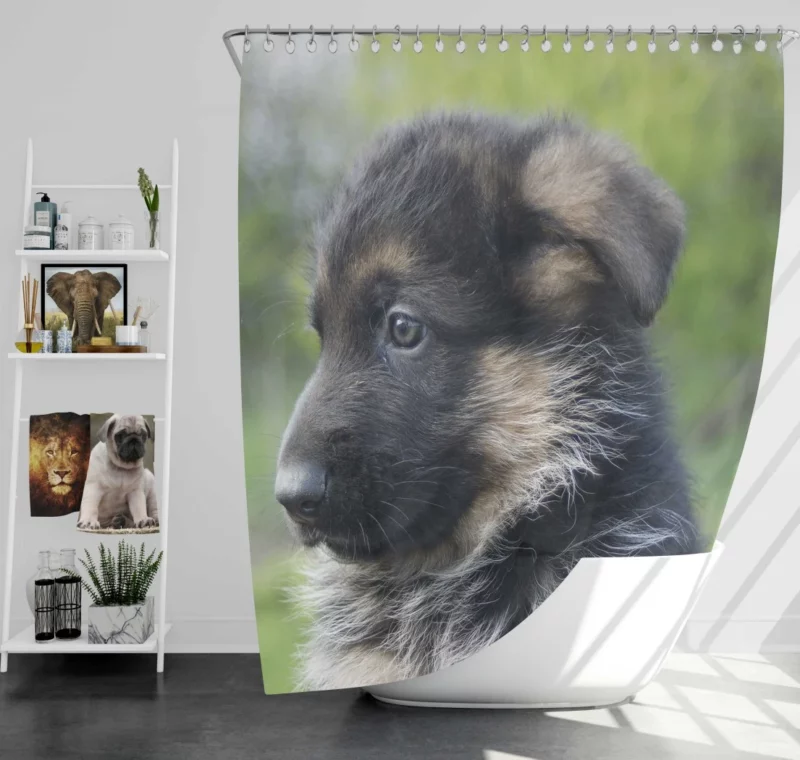 German Shepherd Pup Playful Antics Shower Curtain