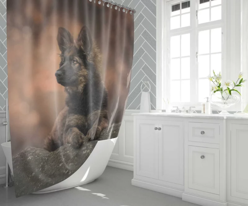 German Shepherd Puppy Captivating Charm Shower Curtain 1