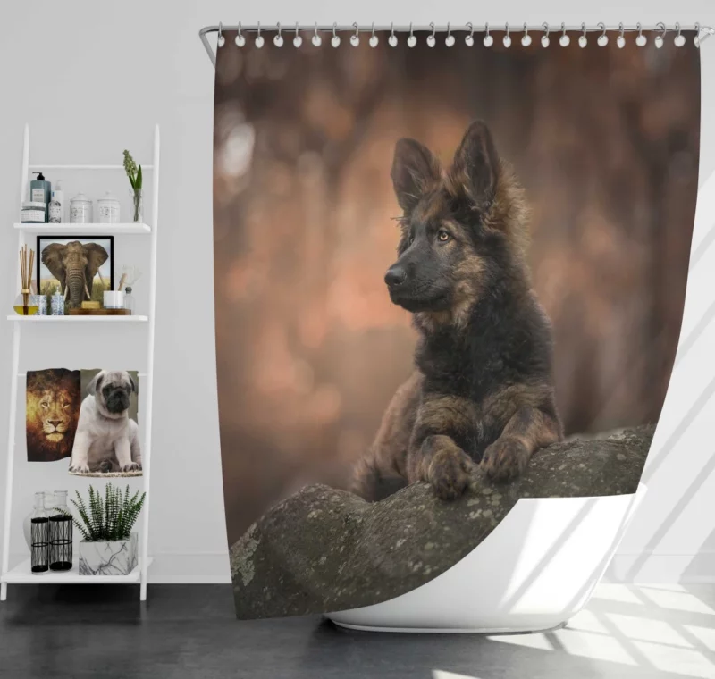 German Shepherd Puppy Captivating Charm Shower Curtain