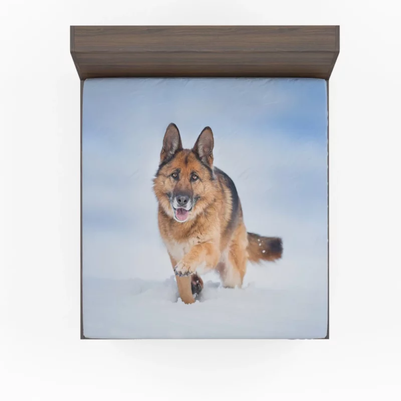 German Shepherd Snowy Stare Fitted Sheet 1