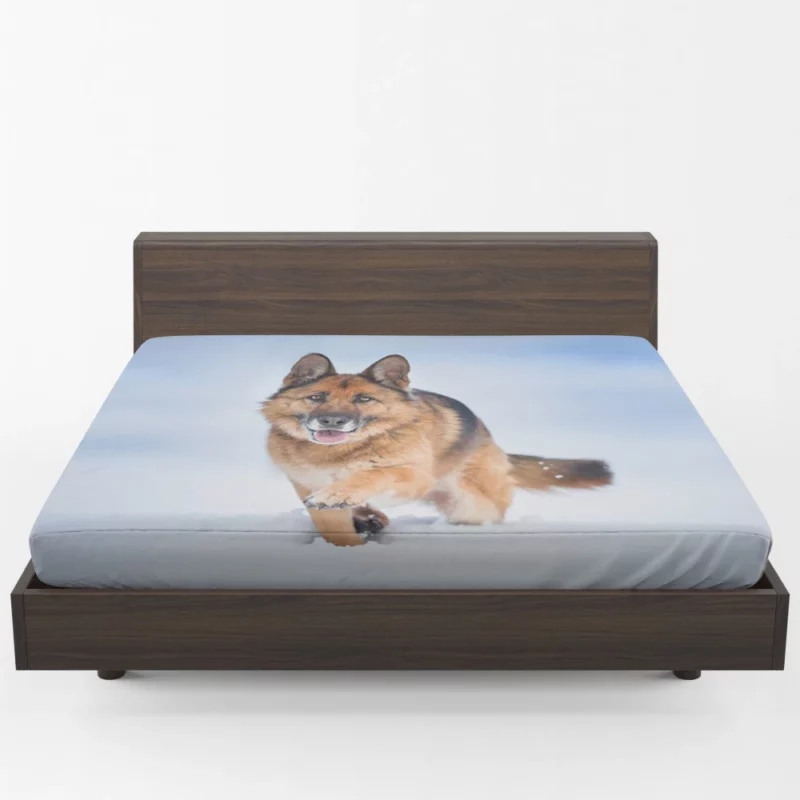 German Shepherd Snowy Stare Fitted Sheet