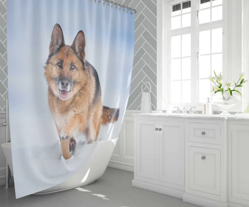 German Shepherd Snowy Stare Shower Curtain 1