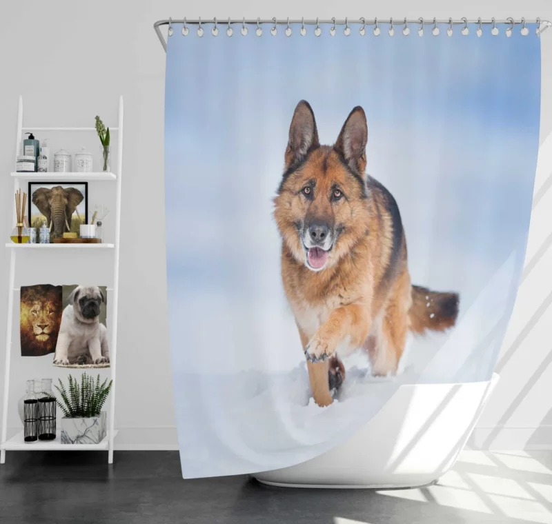 German Shepherd Snowy Stare Shower Curtain