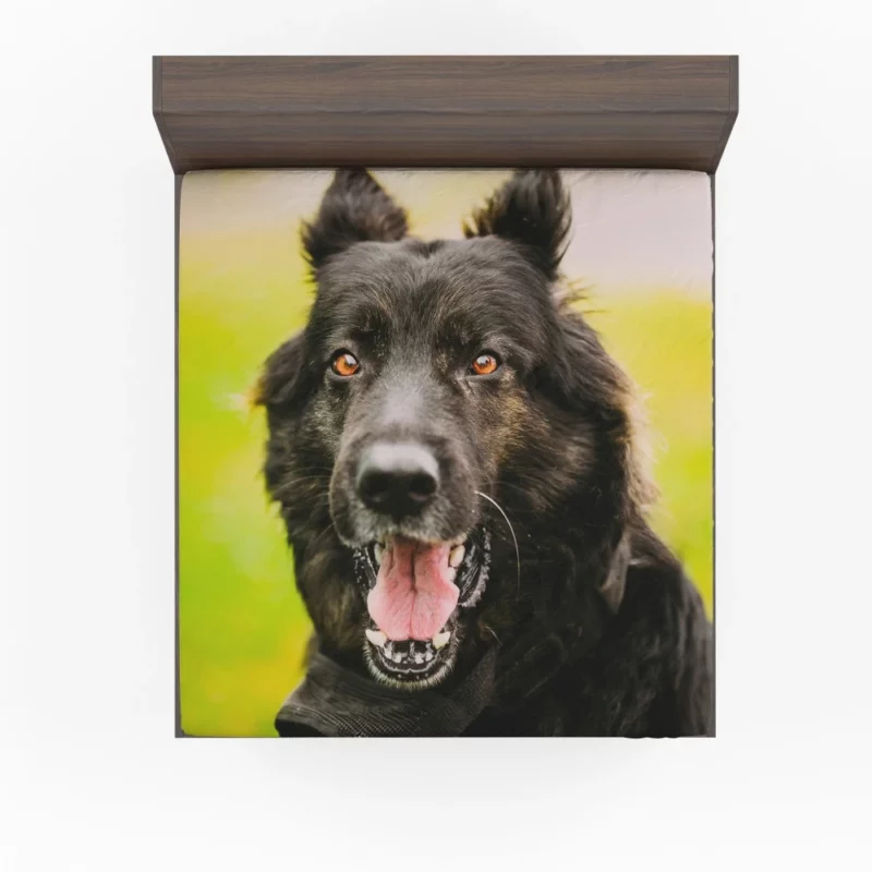 German Shepherd Thoughtful Gaze Canine Contemplation Fitted Sheet 1