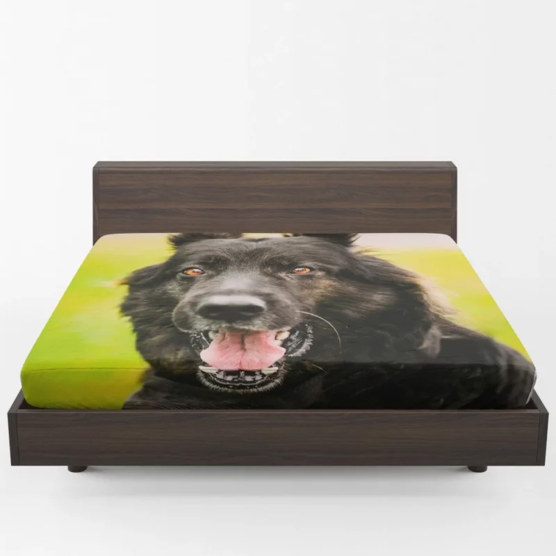 German Shepherd Thoughtful Gaze Canine Contemplation Fitted Sheet